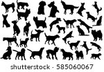 Vector Isolated Collection Of...