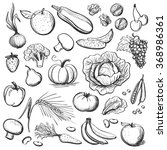 hand drawn healthy eating | Shutterstock .eps vector #368986361