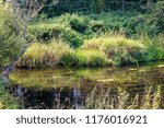 Small photo of River Isma in the Borovsky District, Kaluzhskiy Region, Russia