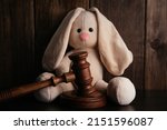 Small photo of Wooden judge gavel and plush bunny. Law and children concept