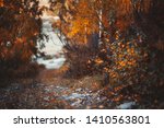stock-photo-a-long-nature-corridor-between-autumn-trees-and-bushes-following-down-to-the-water-in-the-distance-1410563801.jpg