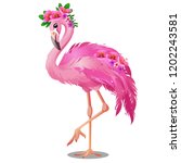 Beautiful Bird Pink Flamingo...