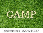 Small photo of Wood alphabet letter in word GAMP (Abbreviation of Good Automated Manufacturing Practice) on green grass background