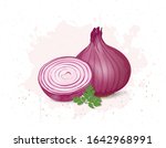Onion Root Vegetable Vector...