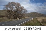 Small photo of Scenic View with Dormant Tree, Rainbow, and Mountain View, Road Trip in New Zealand