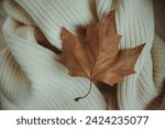 Small photo of In this serene and evocative photograph, an autumn leaf rests gently upon a pristine white sweater, creating a captivating tableau that juxtaposes the ephemeral beauty of nature with the purity of a c