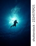 Small photo of Silhouette of Scuba divers Underwater