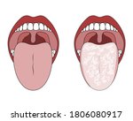 clean healthy tongue and white... | Shutterstock .eps vector #1806080917