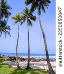 Small photo of Snippets of coconut beaches in Liberia