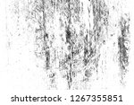 abstract background. monochrome ... | Shutterstock . vector #1267355851