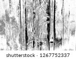abstract background. monochrome ... | Shutterstock . vector #1267752337