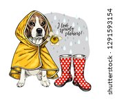 Hand Drawn Beagle With Yellow...