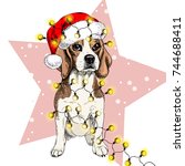 Vector Portrait Of Beagle Dog...