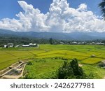 Small photo of Nan, Thailand - October 5th, 2022: Rice Fields in Nan Province, Thailand - Fluffy Clouds - Big Fields