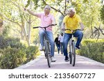 Small photo of Two cheerful senior men having fun riding bicycle at park