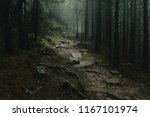 Landscape of a mystical forest covered with fog. Trail in a forest with fog.