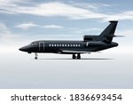 Modern black corporate business jet isolated on light background with sky