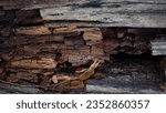 Small photo of Over an extended period, the integrity of the long wooden piece began to falter, signaling its imminent collapse.