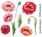 Poppy Flowers Watercolor Painting Free Stock Photo - Public Domain Pictures