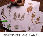 Small photo of Dried herbarium is plant material that has been preserved by drying or also called dried herbarium specimens. These specimens are useful as supporting materials for learning biology