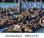 This is PIER 39 and the sea lions in San Francisco.