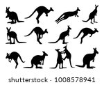 Collection Of Kangaroo...