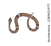 brown python vector... | Shutterstock .eps vector #1289651977