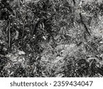 Small photo of black charcoal background resulting from burning rubbish. carbon, coal, dark, dirty, messed up, monochrome, material, nature, organic, texture, charred, scorched, junk, dump, disposal, thrash, garbage