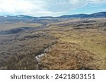 Small photo of The photo in question was taken on the plateau of Piatra Sapantei, above the village of Sapanta, and the interest is in the reappearance of spring in the natural world,it is a wild scenic landscape in