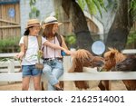 Small photo of Asian mother and daughter feeding pony horse at animal farm. Outdoor fun for kids. Child feeds animal at pet zoo. Dwarf horses on the farm. Happy family petting a pony through wooden fence.
