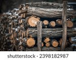 Close up of felled wood pile with little snow, blurred background