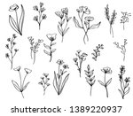 collection forest fern... | Shutterstock .eps vector #1389220937
