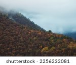 Soft focus. Cool morning fog over the forest mountain slopes. Thick morning fog covers the Caucasus mountains. Green forest on the slopes of the mountains. Curly thick fog spreads over the mountains.