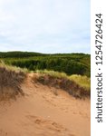 Small photo of Sand dunes surrounded by grass and forest at Chimney Corner Beach in Cape Breton, Nova Scotia, Canada on a sunny summer day