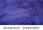 Small photo of white sheepskin texture with soft hairs, natural fur for the designer, the concept of processing, production of furrier products, stress relief, psychological stress, fashion color trends, 2022 Color