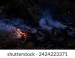 Small photo of burning conflagration, burning ash, charred dry grass in forest, acrid gray smoke, wildfire, rural fire unplanned, uncontrolled and unpredictable fire in area combustible vegetation, harming nature