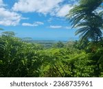 Cairns Daintree Rainforest Lookout Point Background Landscape