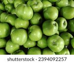 Small photo of The green apple belongs to the Rosaceae family. Primarily a hybrid fruit, it has been created by combining two different species of apple which are Malus Slyvesterus and Malus Domesticus