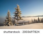 Amazing Winter Landscape With...