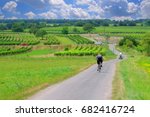Bicycle path surrounded by vineyards at Neusiedl lake, Morbisch, Austria.