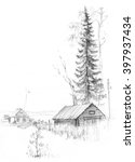 old pine tree. a village house. ... | Shutterstock . vector #397937434