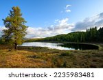 Small photo of Amazing Russia nature forest sunset landscape of Kidelu lake, sunny autumn forest and mountain ice peaks of Siberia Altai taiga, forest trees grow on shore, evening sky. Russia tourism, Altai, Siberia