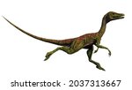 Compsognathus Longipes  Small...
