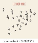 A Flock Of Birds  Hand Drawn...