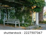White Park Bench With Stone Wall And Green Leaves Of The Ivy In Quiet Environment. Old Grey Rustic Wooden Bench In Ivy Leaves, A Dark Background From Large Leaves With Sun Lights And Shadows. Bench In
