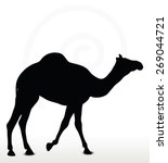 Vector Image   Camel In Walking ...