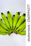 Small photo of Banana - Robusta, Banana is an extremely versatile and one of the healthiest fruits. It is the go-to-snack in terms of nutrition and instant energy release.