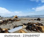 Small photo of Marine debris at the beach is washed ashore by waves and gives off a putrid odor, such as foam box, sponges, rotting plants, and bottles.
