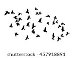 vector silhouettes of flying... | Shutterstock .eps vector #457918891