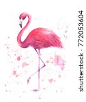 Pink Flamingo. Tropical Exotic...